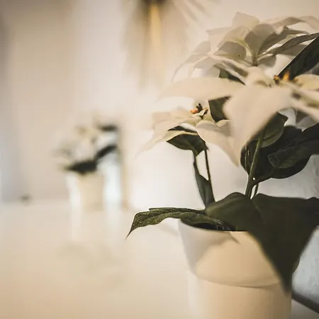 Moderne In Mit Balkon, Wehome Komfort *